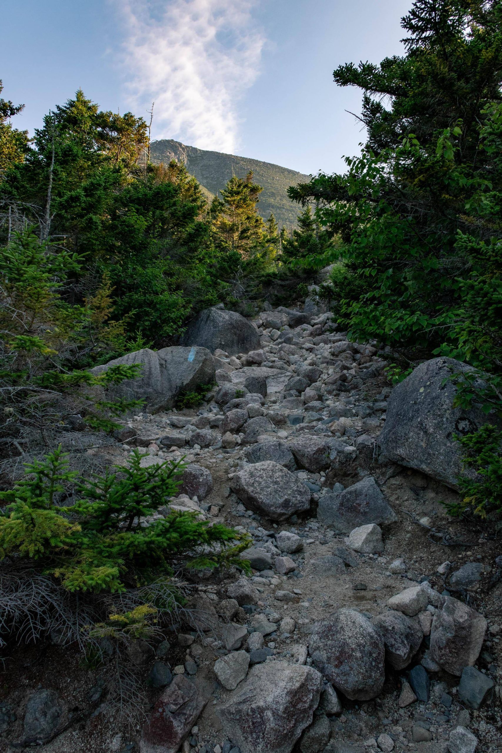Abol Trail Katahdin